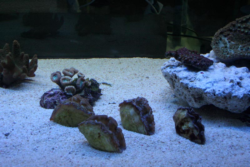 Killikus® Fotographie Killikus® Fotographie